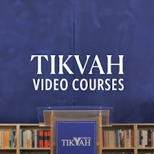 Tikvah Video Courses Tikvah Video Courses cover artwork