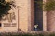 Texas A&M Qatar campus, via Facebook.