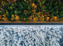 Fall and Winter