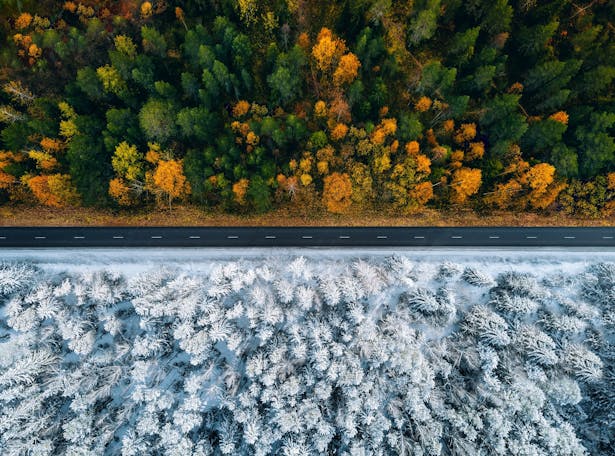Fall and Winter