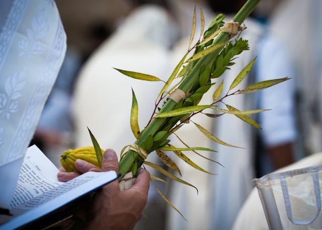 Lulav and Etrog