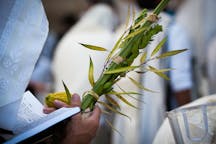 Lulav and Etrog