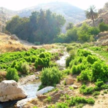 Nahal Prat Nahal Prat