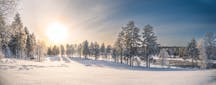 Snowy Landscape