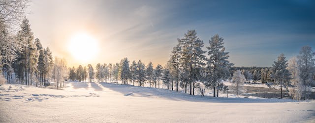 Snowy Landscape