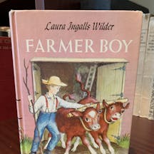 Farmer Boy