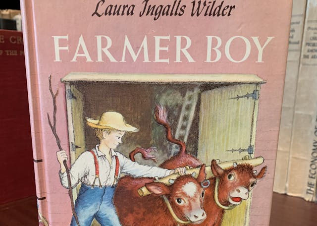 Farmer Boy