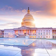 Shutterstock Shutterstock