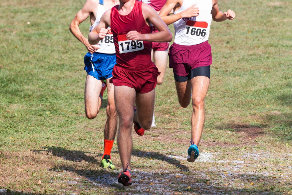 Shutterstock Shutterstock