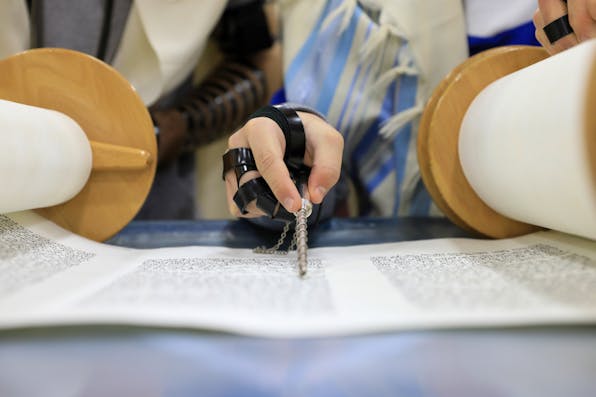 Shutterstock Shutterstock