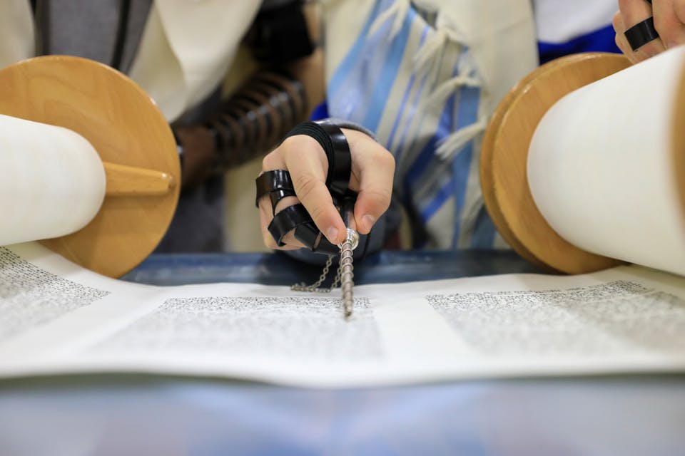 Shutterstock Shutterstock