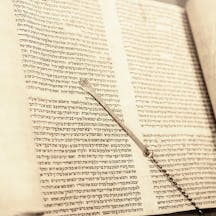 Torah Scroll