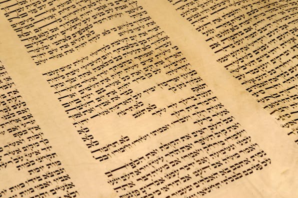 Shutterstock Shutterstock