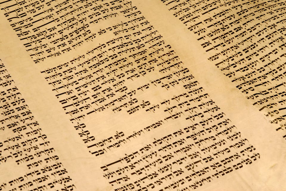 Shutterstock Shutterstock