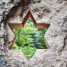 A six-pointed Jewish star of David is carved into a rock wall window on the grounds of the Mt. Herzl military cemetery in Jerusalem. (Shutterstock) A six-pointed Jewish star of David is carved into a rock wall window on the grounds of the Mt. Herzl military cemetery in Jerusalem. (Shutterstock)