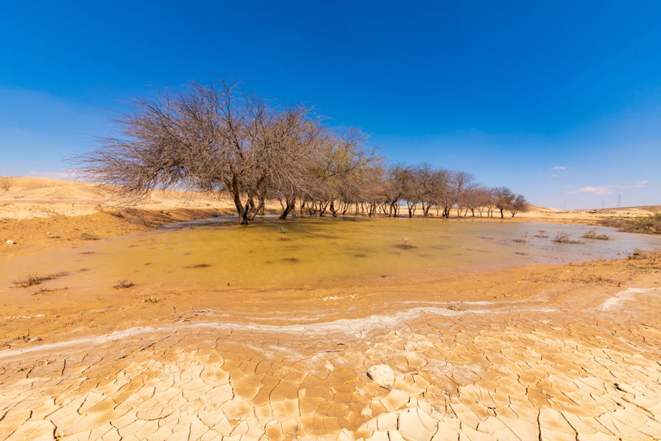 Shutterstock Shutterstock