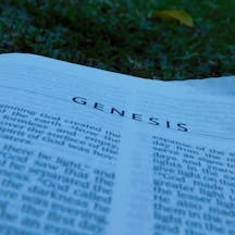 Shutterstock Shutterstock