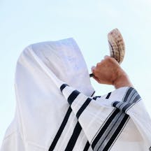 Shutterstock Shutterstock