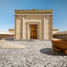 Shutterstock Shutterstock