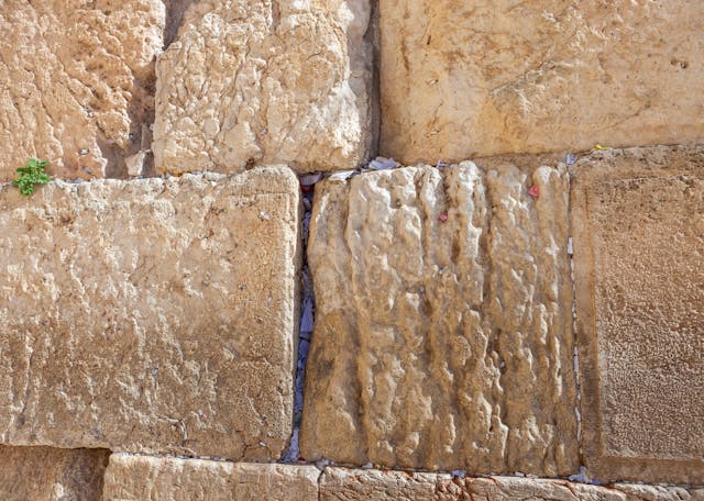Jerusalem Stone