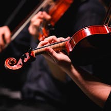 Violins