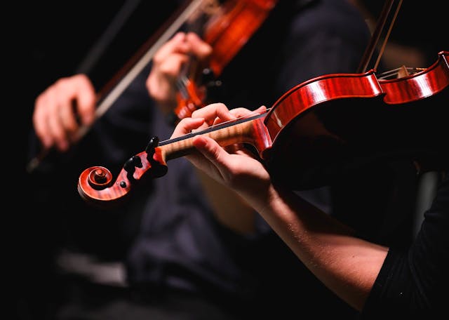 Violins