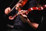 Violins