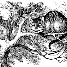 Chesire Cat