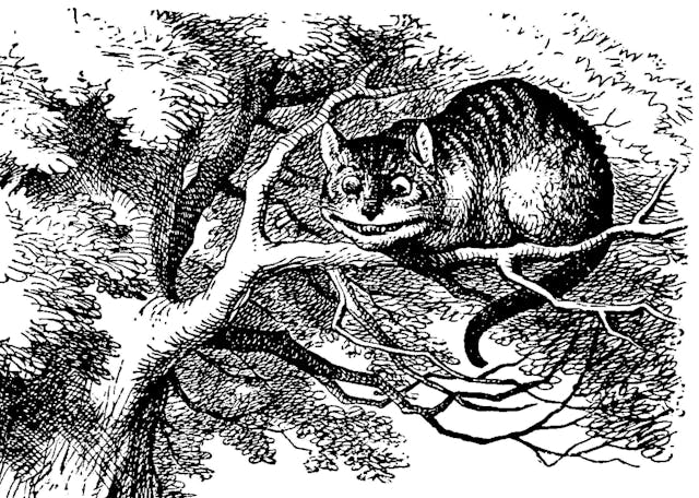 Chesire Cat