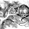 Chesire Cat