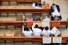 Jerusalem Israel. Yeshiva students in the Hurva Synagogue