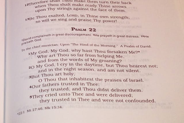 Psalm 22 (Veverve, Wikimedia Commons)