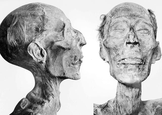 Details of mummy of the pharaoh Ramesses II. Cairo Museum. Details of mummy of the pharaoh Ramesses II. Cairo Museum.