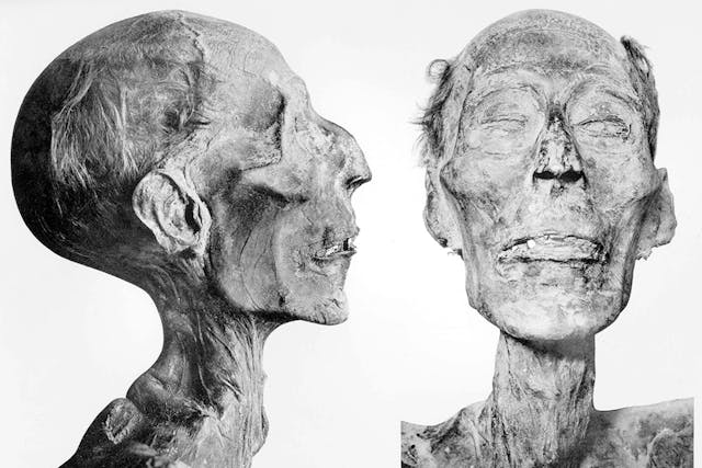 Details of mummy of the pharaoh Ramesses II. Cairo Museum.