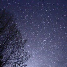Vibrant night sky with lots of stars, beside a tree's silhouette, Muskoka, Ontario, Canada (Michael J. Bennett, Wikimedia Commons) Vibrant night sky with lots of stars, beside a tree's silhouette, Muskoka, Ontario, Canada (Michael J. Bennett, Wikimedia Commons)