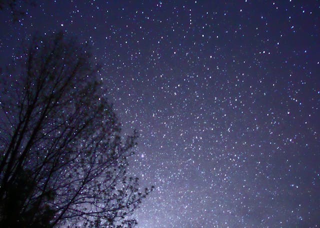 Vibrant night sky with lots of stars, beside a tree's silhouette, Muskoka, Ontario, Canada (Michael J. Bennett, Wikimedia Commons) Vibrant night sky with lots of stars, beside a tree's silhouette, Muskoka, Ontario, Canada (Michael J. Bennett, Wikimedia Commons)