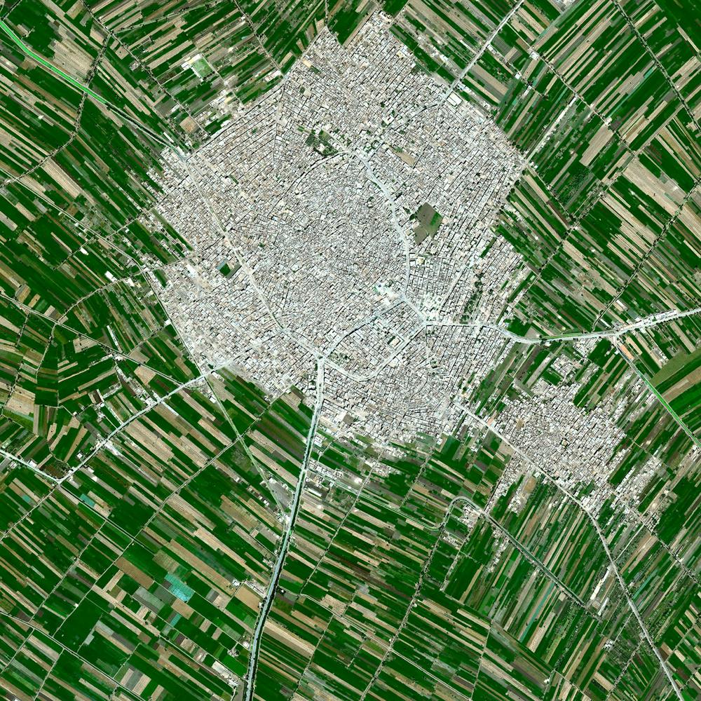 Agricultural Development