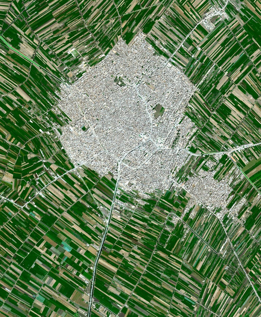 Egyptian Agricultural Development