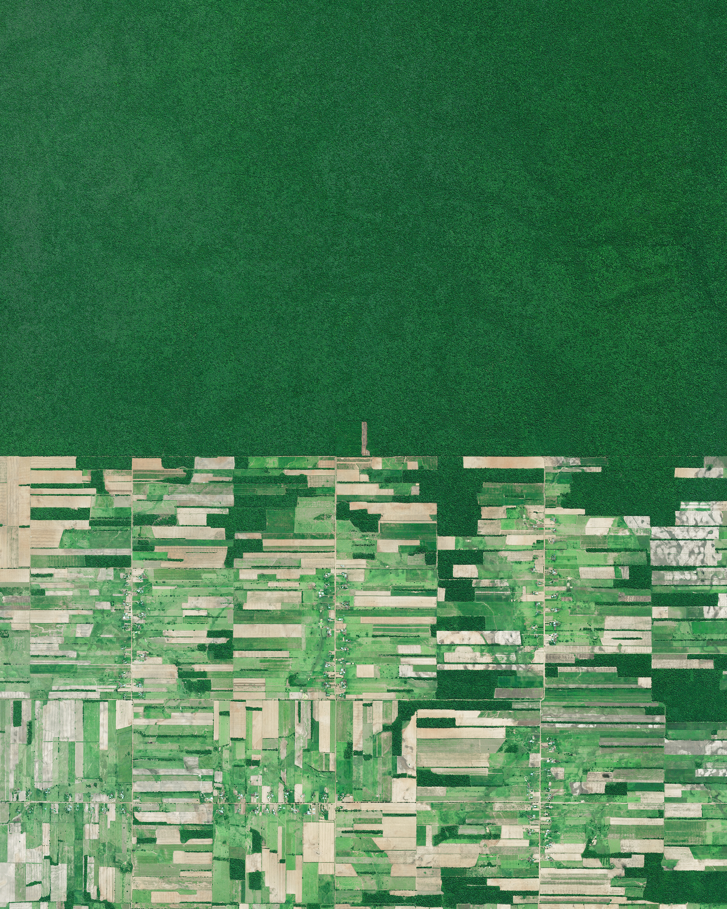 Bolivian Deforestation