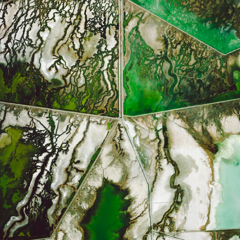 Fish Springs National Wildlife Refuge