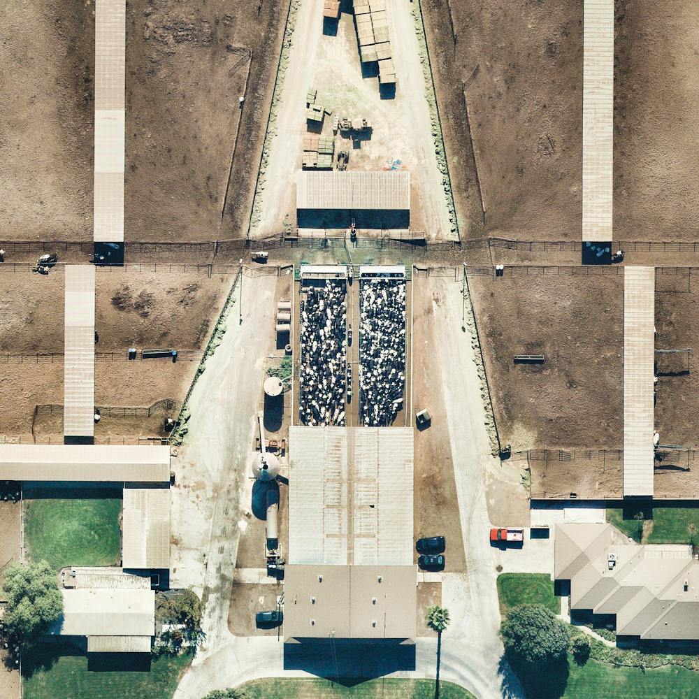 Chino, California Dairy Farm
