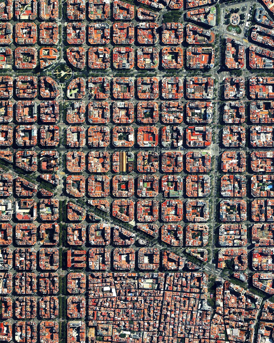 Daily Overview