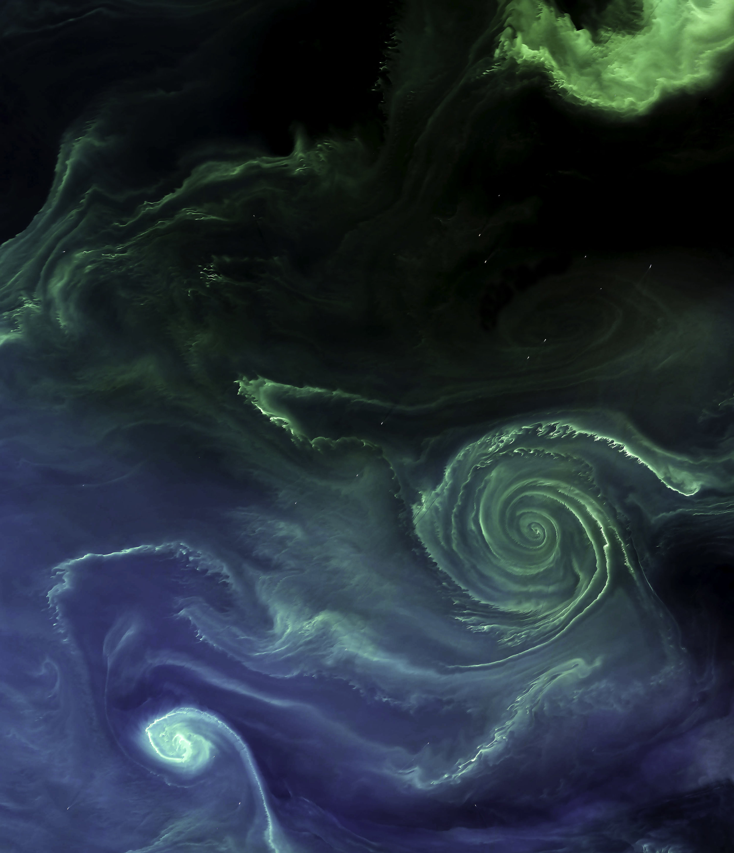 Baltic Algae Bloom #2