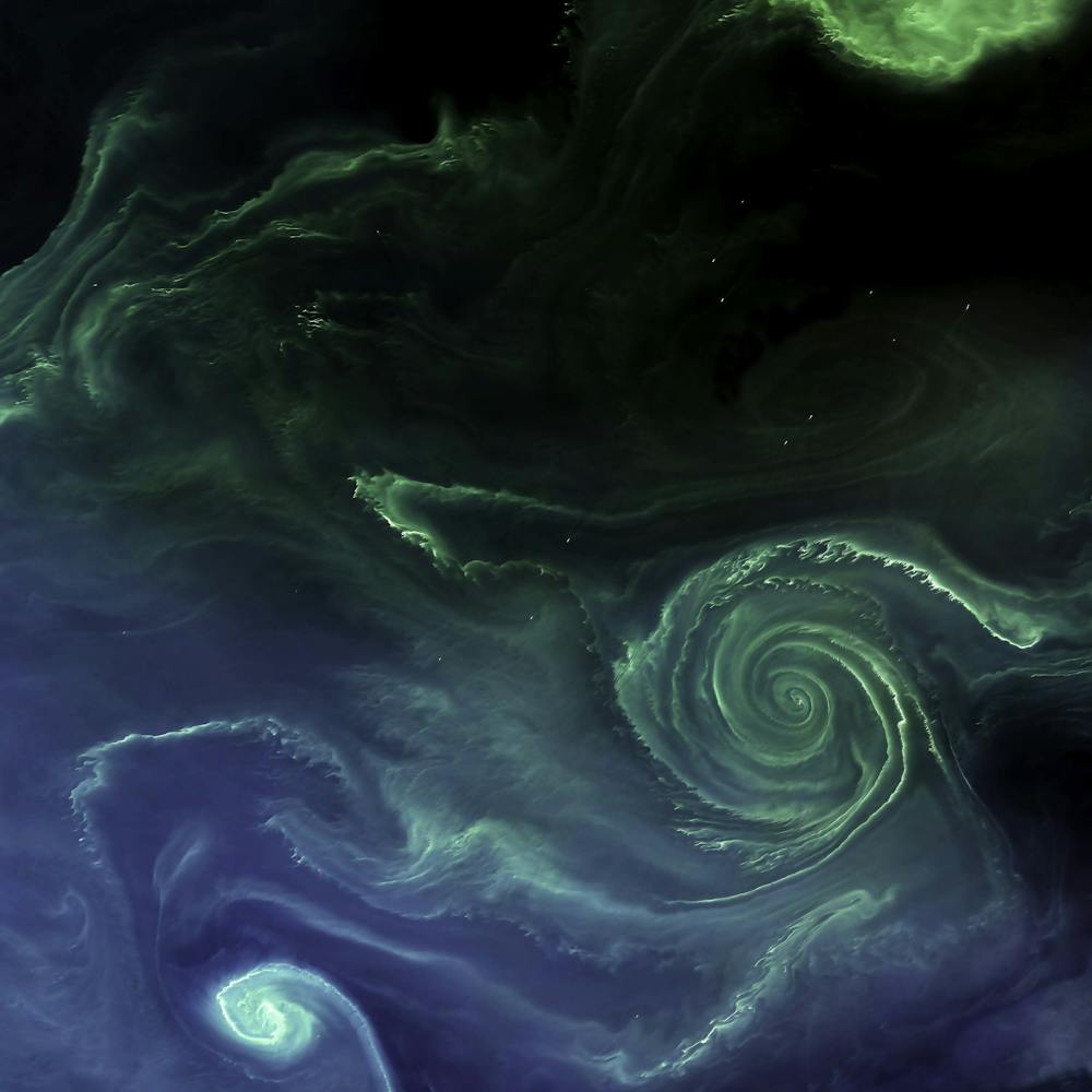 Baltic Algae Bloom #2