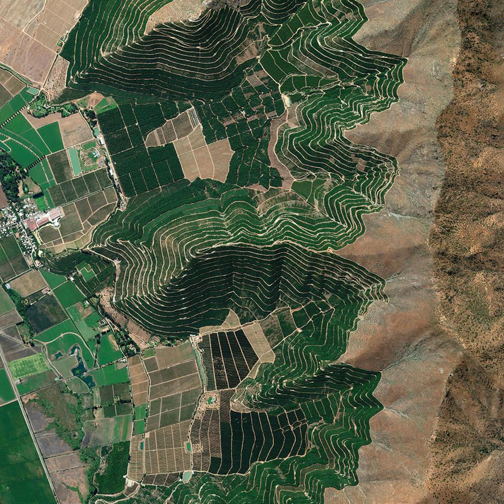 Andean Mountain Vineyards