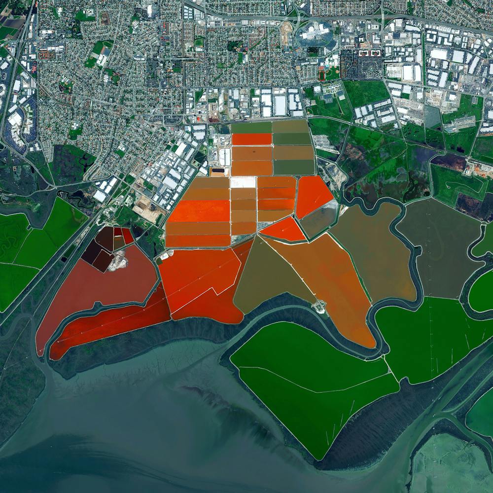 San Francisco Bay Salt Ponds
