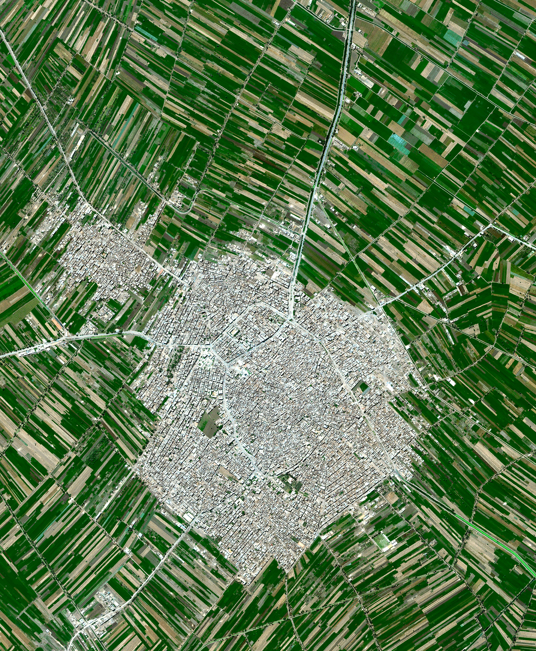 Egyptian Agricultural Development