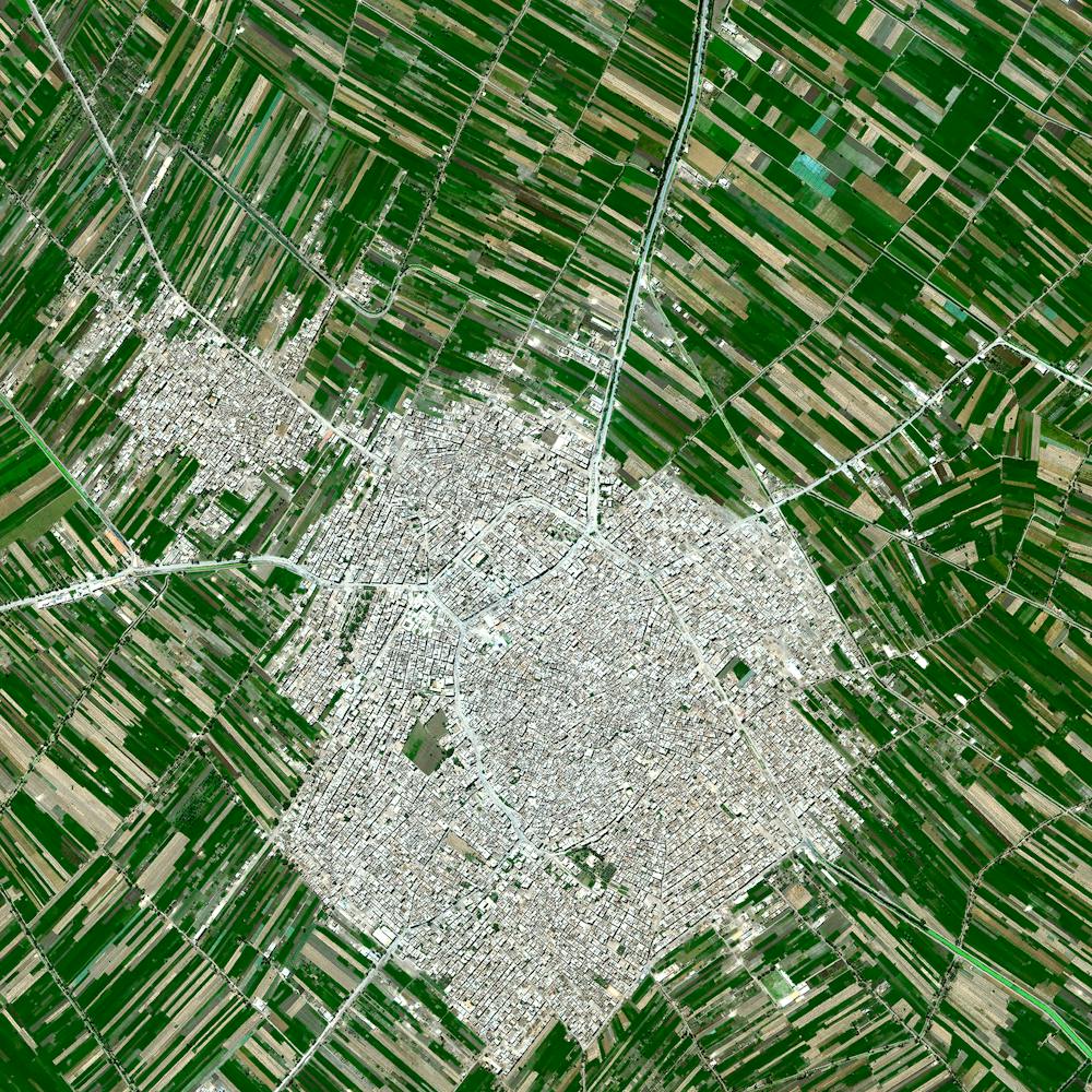 Egyptian Agricultural Development