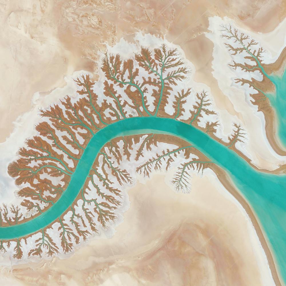 Dendritic drainage systems