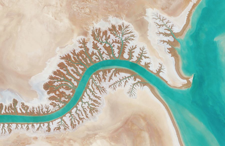 Dendritic drainage systems